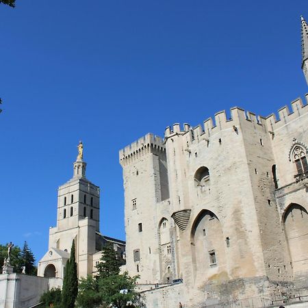 Le Petit Avignon - Chambres & Appartement A Deux Pas Du Pont D'Avignon Et Du Palais Des Papes Esterno foto