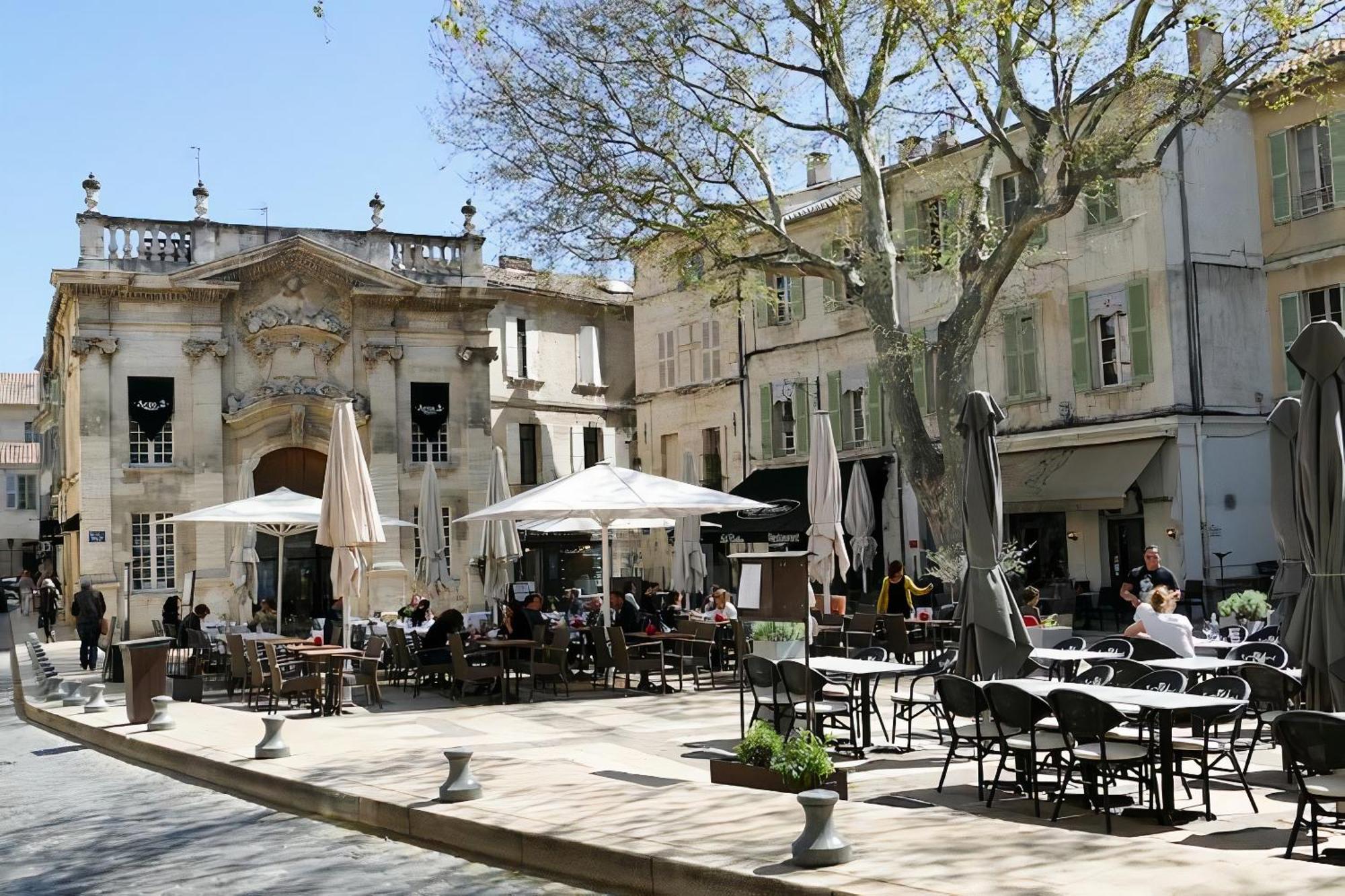 Le Petit Avignon - Chambres & Appartement A Deux Pas Du Pont D'Avignon Et Du Palais Des Papes Esterno foto