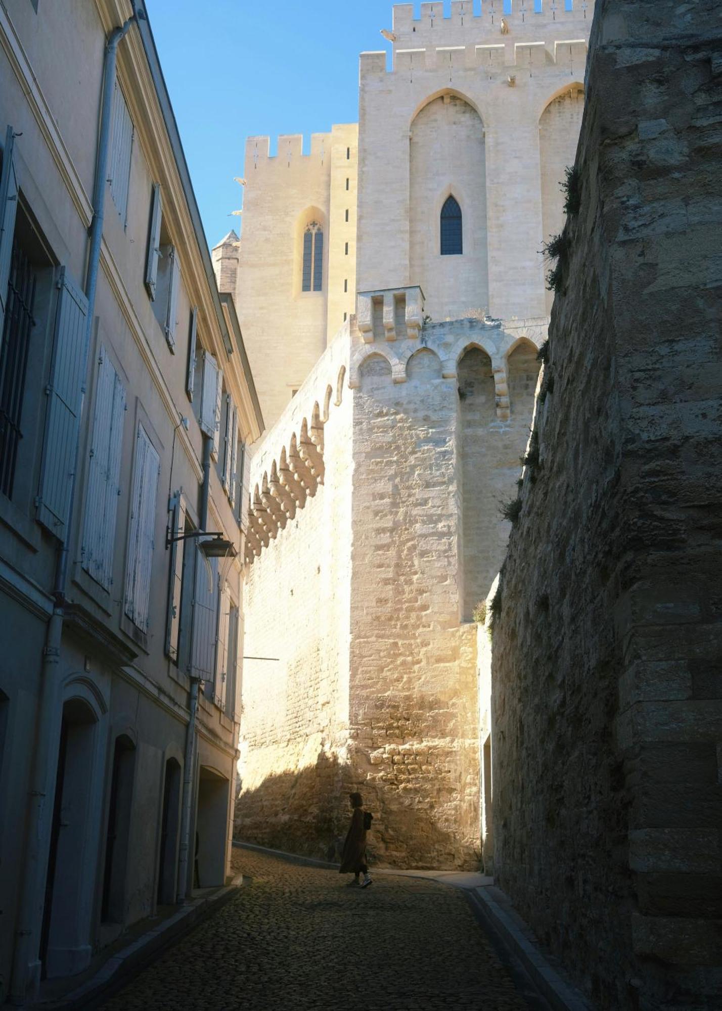 Le Petit Avignon - Chambres & Appartement A Deux Pas Du Pont D'Avignon Et Du Palais Des Papes Esterno foto